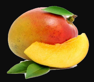 Mangofrucht